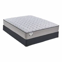 SEALY HANSON TWIN MATTRESS SET